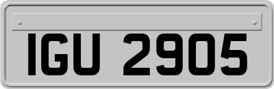 IGU2905