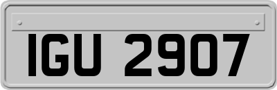 IGU2907