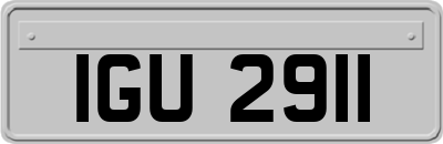 IGU2911