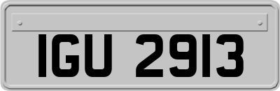 IGU2913