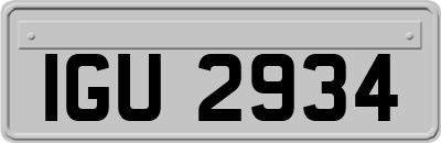 IGU2934