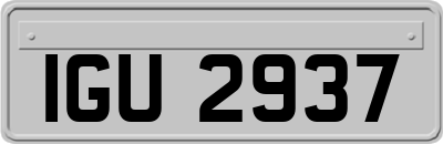 IGU2937