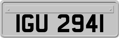 IGU2941