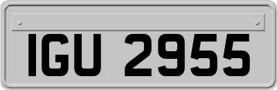 IGU2955