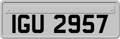 IGU2957