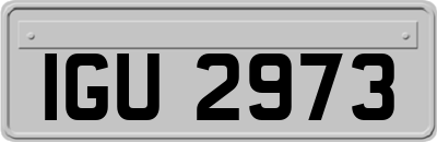IGU2973
