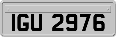 IGU2976