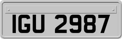 IGU2987