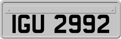 IGU2992