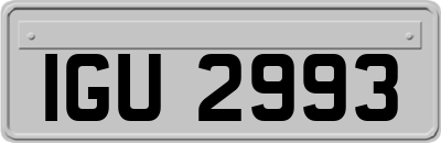 IGU2993