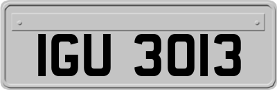 IGU3013