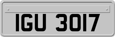 IGU3017