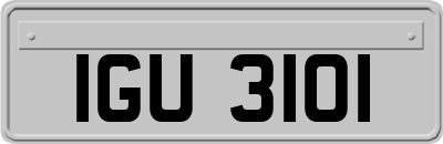 IGU3101