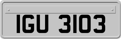 IGU3103