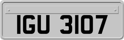 IGU3107