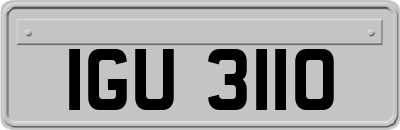 IGU3110