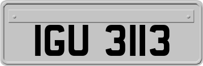 IGU3113