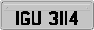IGU3114