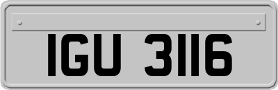 IGU3116
