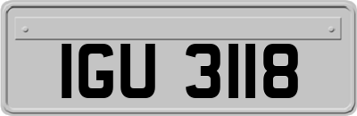 IGU3118