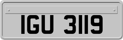 IGU3119