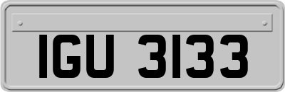IGU3133