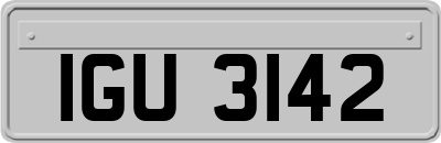 IGU3142