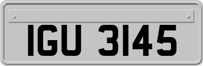 IGU3145