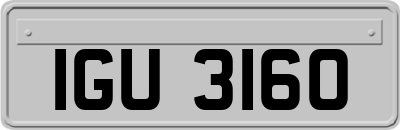 IGU3160