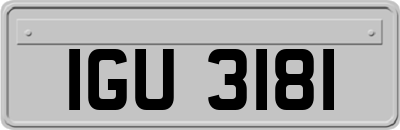IGU3181