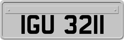 IGU3211