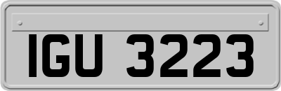 IGU3223