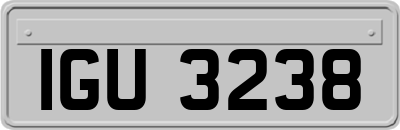 IGU3238