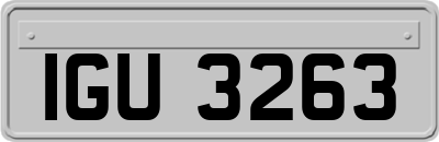 IGU3263
