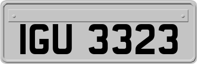 IGU3323
