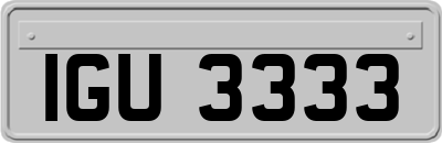 IGU3333