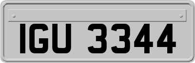 IGU3344