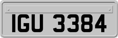 IGU3384