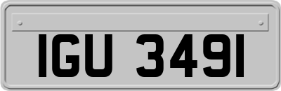 IGU3491