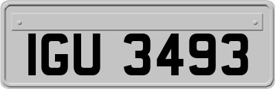 IGU3493