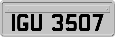IGU3507