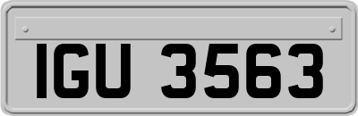 IGU3563