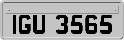 IGU3565