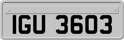IGU3603