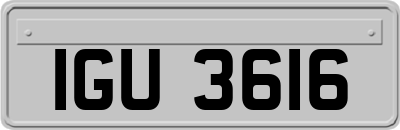 IGU3616