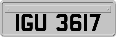 IGU3617