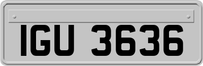 IGU3636