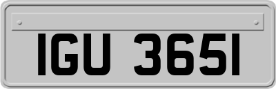 IGU3651