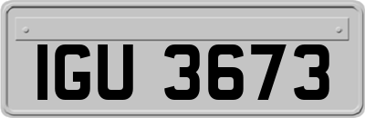 IGU3673