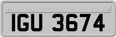 IGU3674